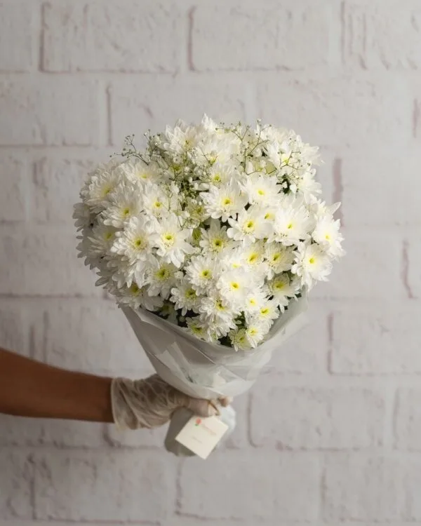 IMG-20201104-WA0069-600×750