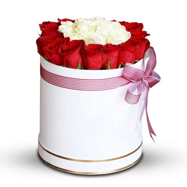 1000308430.jpg 1000308430.jpg