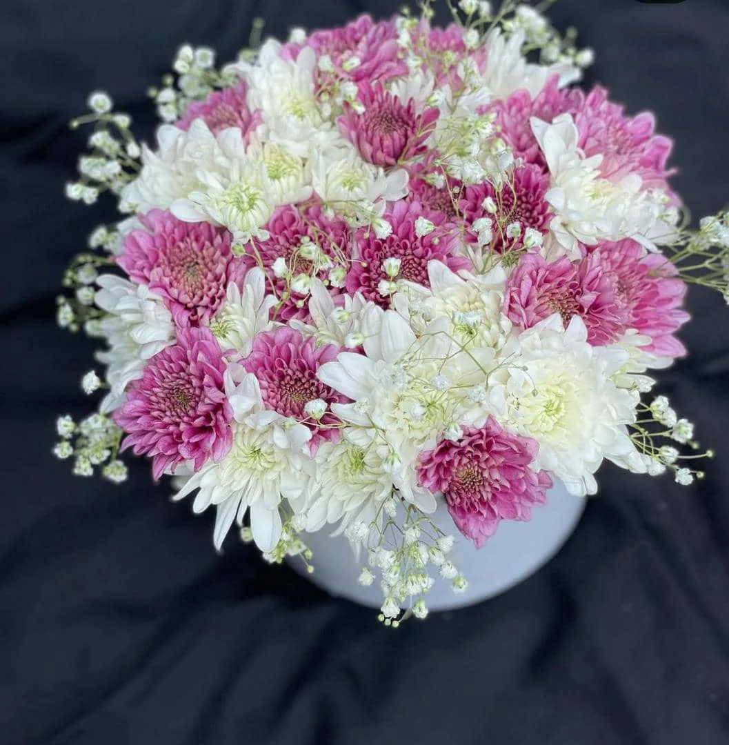 chrys and gypso box chrys and gypso box