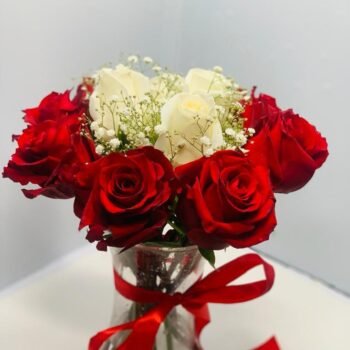 roses with gypso