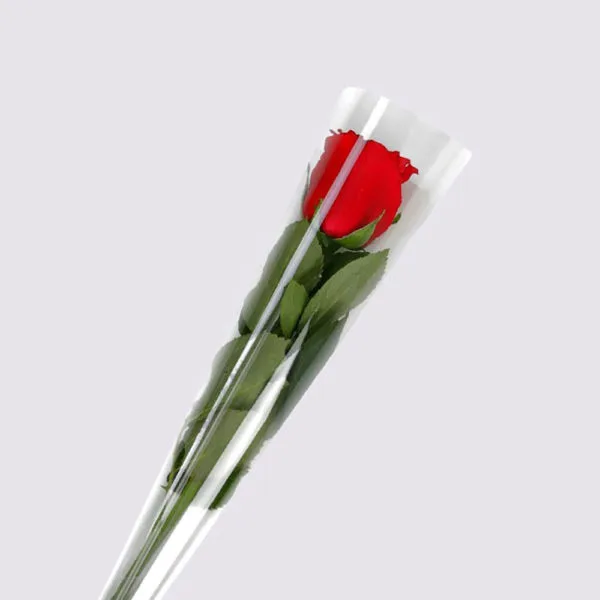 single red rose